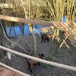 بيت للعطل Au Domaine Du Predieu *