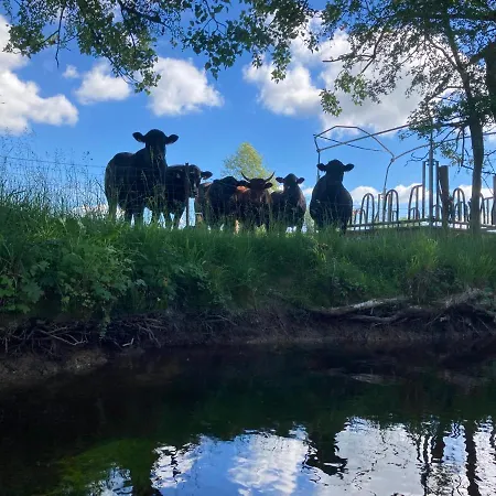 Au Domaine Du Predieu 度假居