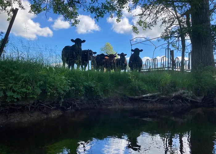 Au Domaine Du Predieu Holiday home