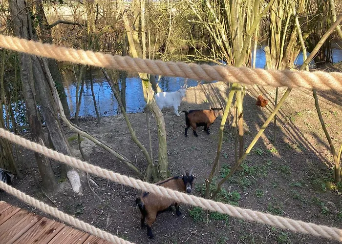 Holiday home Au Domaine Du Predieu *